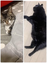 【漫画】『コゲてるのは誰？』4（まーこさん提供）