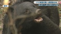 資料