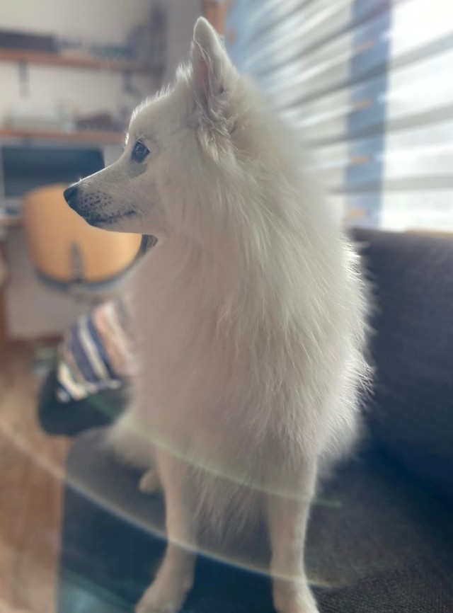 凛々しい横顔♡（提供：@poteyamadaさん）
