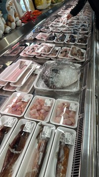 店頭で強烈なインパクトを放っているマンボウ／あらきゆうきさん（@Arakisengyo_yu）提供