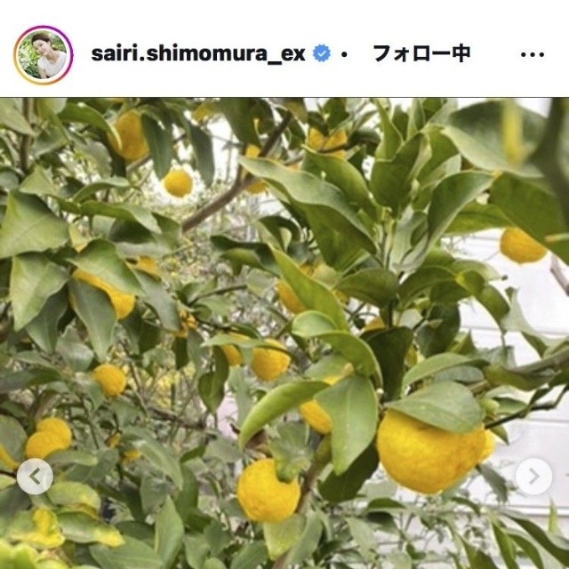 下村彩里アナウンサーのインスタグラム＠sairi.shimomura_exより