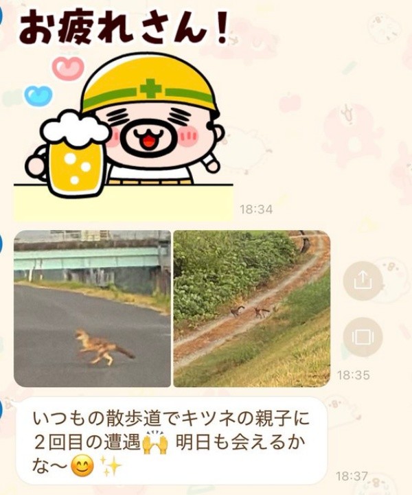 父から「キツネ見た」とLINEが届いてーー思わず二度見（画像提供：よく騒ぐちゅなまぐろさん）