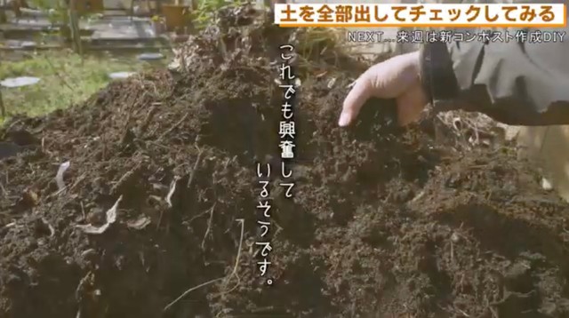 DIYでふかふかの腐葉土が完成！／「田舎カフェの、じっくり庭づくり」さん（@inakacafeyoshio）提供