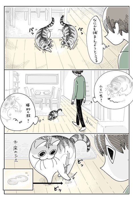 捕まえたかったのは床のシミ（提供：キュルZ さん）