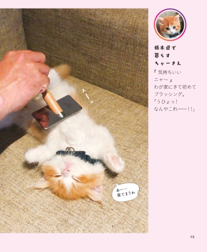 『気持ちいいニャ～』わが家にきて初めてブラッシング「うひょっ！なんやこれ－！！」（へそ天にゃんこ２/三笠書房）