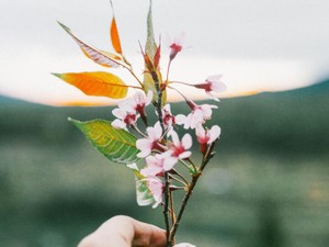 もう二度と会えない大切な友人。仕事が辛いなら逃げてほしかった
