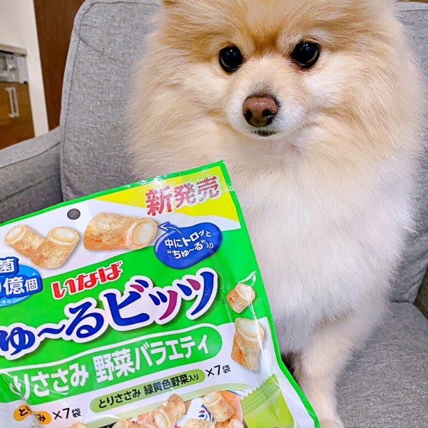 おいしかったおやつを買ってもらったぱっちゃん（画像提供：ぱっちゃんさん）