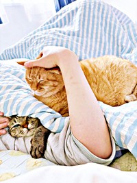 ママの布団に集合！ ハンバーガーのように重なるふうかちゃん（左）、すずくん（右）（画像提供：すずつむふうさん）