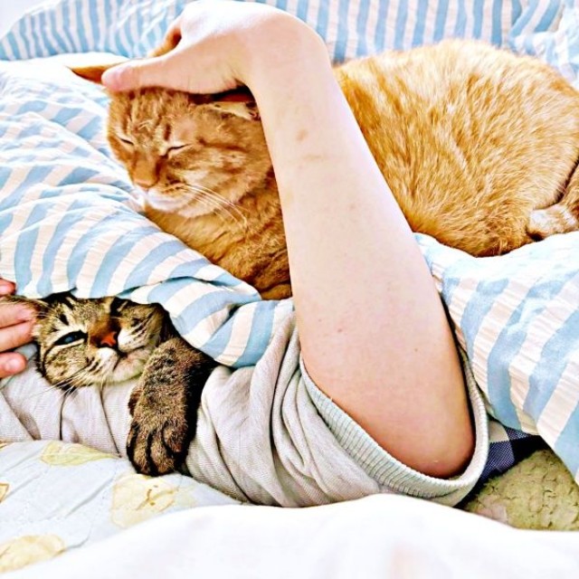 ママの布団に集合！ ハンバーガーのように重なるふうかちゃん（左）、すずくん（右）（画像提供：すずつむふうさん）