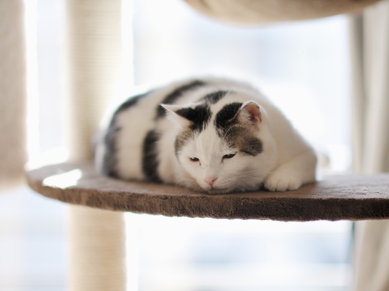 「僕はどこから来てどこに行くんだろう？」（小林写函撮影）