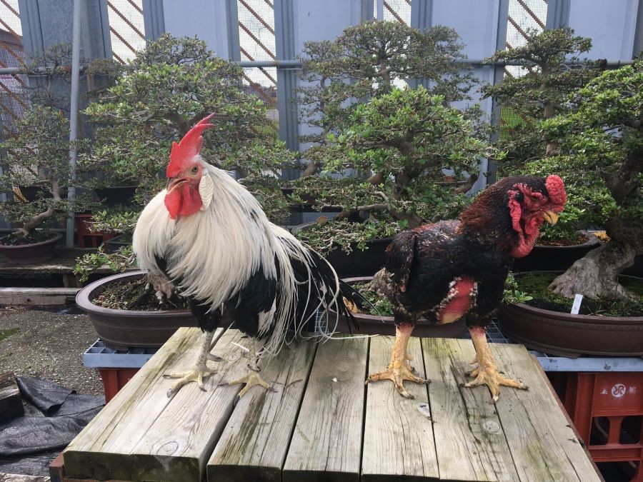 07b2b4fafd9e7cde6fd958210a65ed