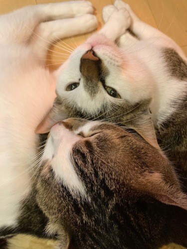 「僕は幸せだー」（真美さん提供）