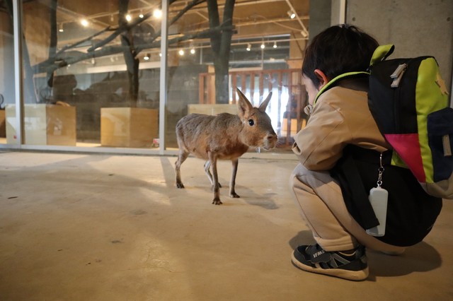 おやつあげもできる