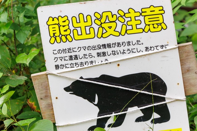 6割以上が「害獣の目撃情報や被害が増えたと感じる」　※画像はイメージです（d3_plus/stock.adobe.com）