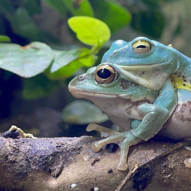 満面の笑み！（ぴよさん提供）