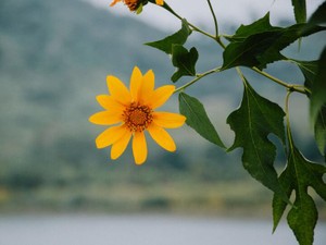 勝手にラベリングしてない？　私は「若い女」、だけじゃない