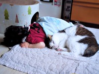 息子さんと添い寝するローズちゃん（画像提供：だいちゃんさん）