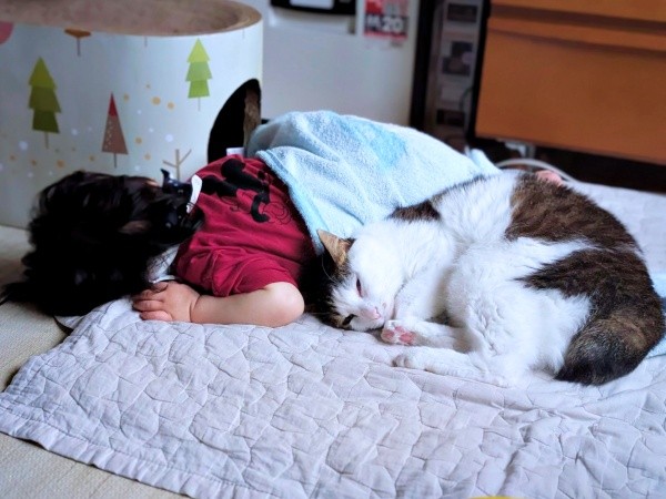 息子さんと添い寝するローズちゃん（画像提供：だいちゃんさん）