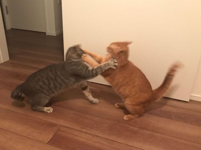 「やる気なの？だったら本気でやりましょう」（山下さん提供）