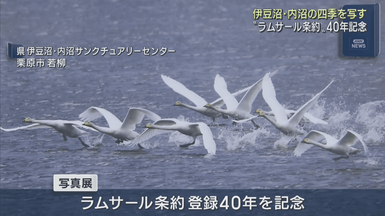 伊豆沼・内沼の四季写す　宮城・栗原市で写真展