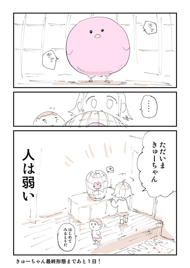 【漫画】『【閲覧注意】ともだちに不死鳥を逃がされた話』16（ぬこー様ちゃんさん提供）