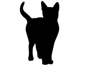 また猫の死体　公園の植え込みに頭と脚１本、刃物で切断