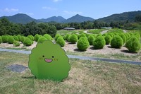 コキアのイラスト看板（提供：国営讃岐まんのう公園）