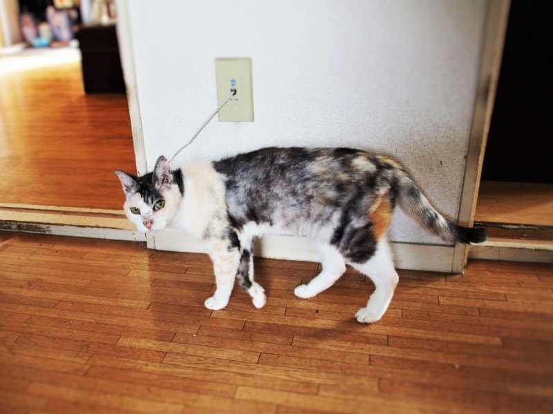 21歳の秋。体重は半分になった