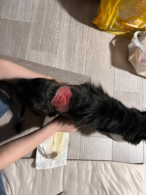 退院初日の様子