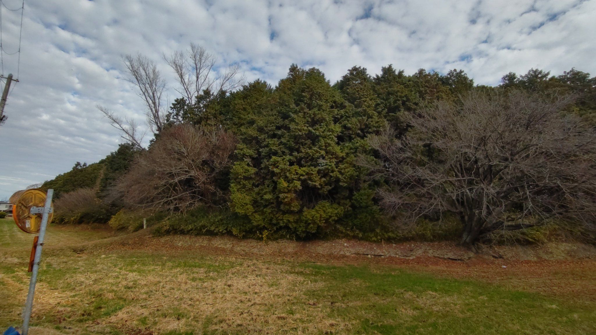 姫路・壇場山古墳の石棺露出、現地で楽しむ