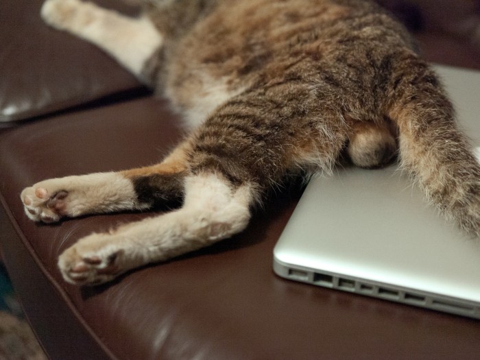 手術を考え始める