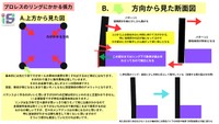 プロレスのリングにかかる張力／伊藤製罐工業　公式Xより