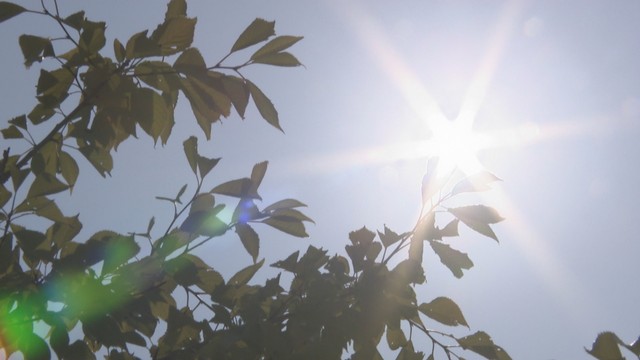 熱中症の疑いで4人搬送　香川　