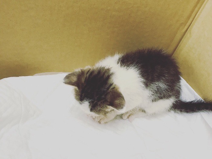 モソモソ、そわそわ