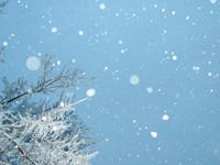 雪を求めて車で隣県へ。滅多に降らない地域で過ごした幼少期の記憶