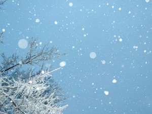 雪を求めて車で隣県へ。滅多に降らない地域で過ごした幼少期の記憶