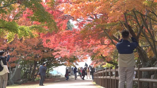 寒霞渓　香川・小豆島町　11日
