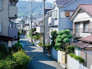 土地だけの遺産分割はトラブルがいっぱい　対処法も解説