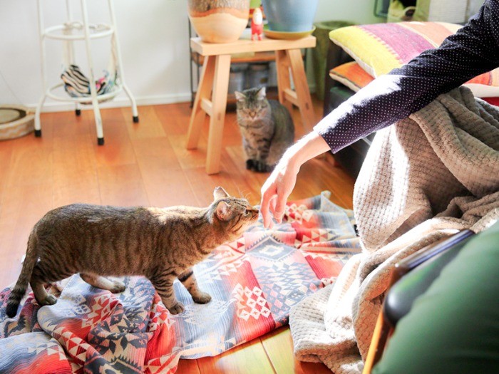 次に来た時には家族の集合写真を撮りましょう。