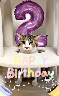 2歳の誕生日を迎えたそぼろくん（画像提供：おかかとそぼろの成長記録さん）