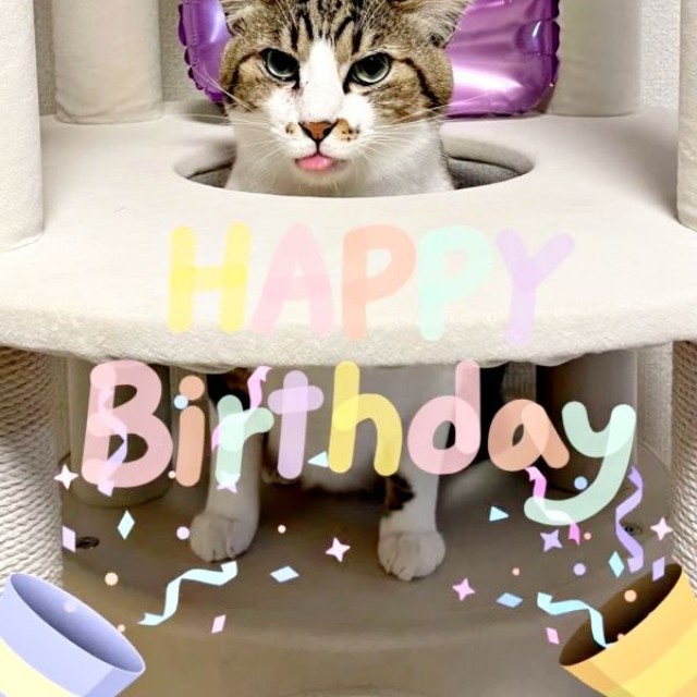 2歳の誕生日を迎えたそぼろくん（画像提供：おかかとそぼろの成長記録さん）