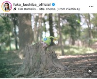 小芝風花インスタグラム＠fuka_koshiba_officialより