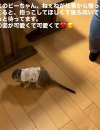 抱っこして！と訴える背中がかわいい♡（提供：＠manaminnyさん）
