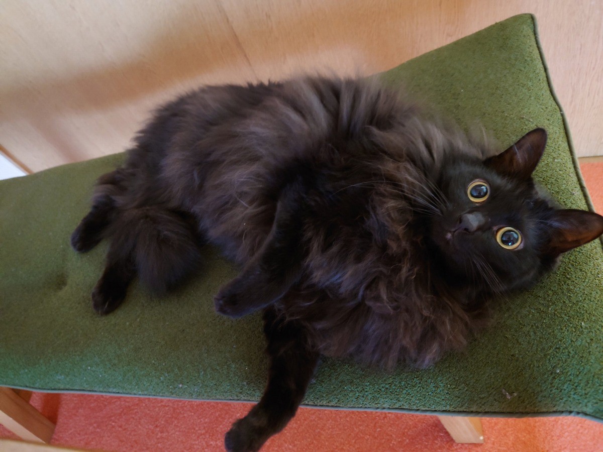 efe8c83209849dee9eae6b9e867132