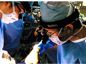 スーパードクターが育ちにくい国、日本