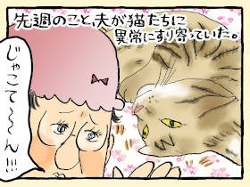 猫にとって人間は「様子のおかしいデカい猫」？　仲間認定してもらえる日は来るのか