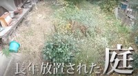 長年放置された荒れた庭（setakaraさん提供、YouTubeよりキャプチャ撮影）