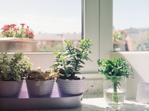 母に「娘の人生」を歩んでほしかった、だけど