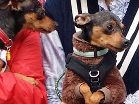 人の目を見られなかったあの子、ようやくつかんだ幸せ