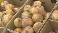 平年の2倍以上　タマネギ価格高騰で家計に影響　スーパーや飲食店も奮闘　岡山市